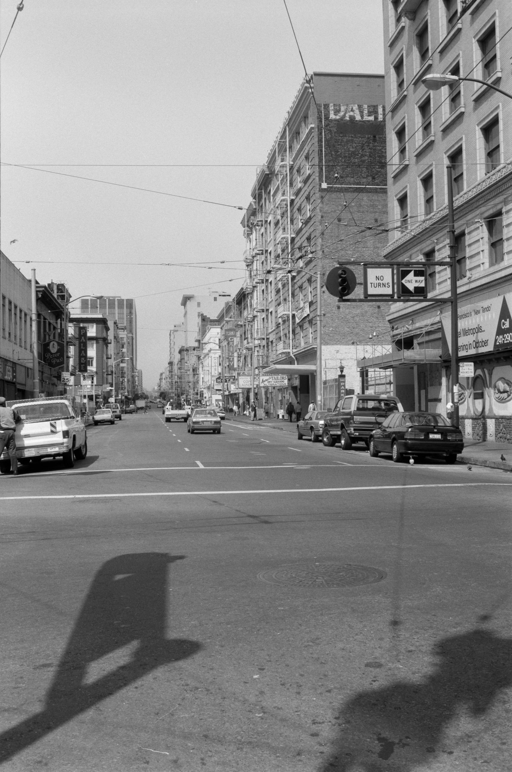 AHP FilmScan 240807 0381